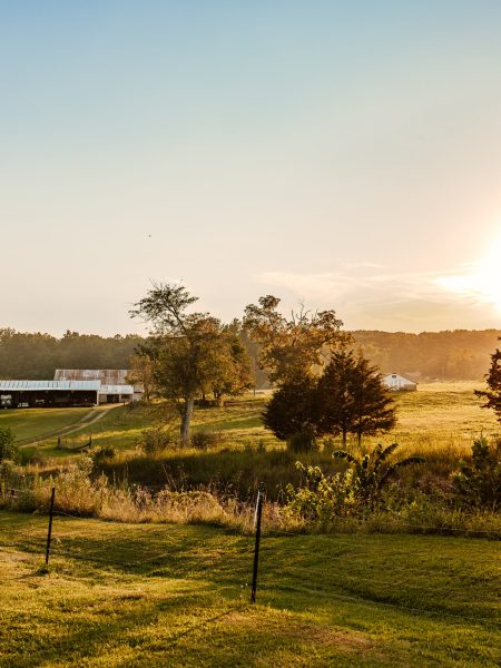 thefarmgeorgetowntexasphotographer